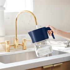 Self-Cleaning Water Pitcher